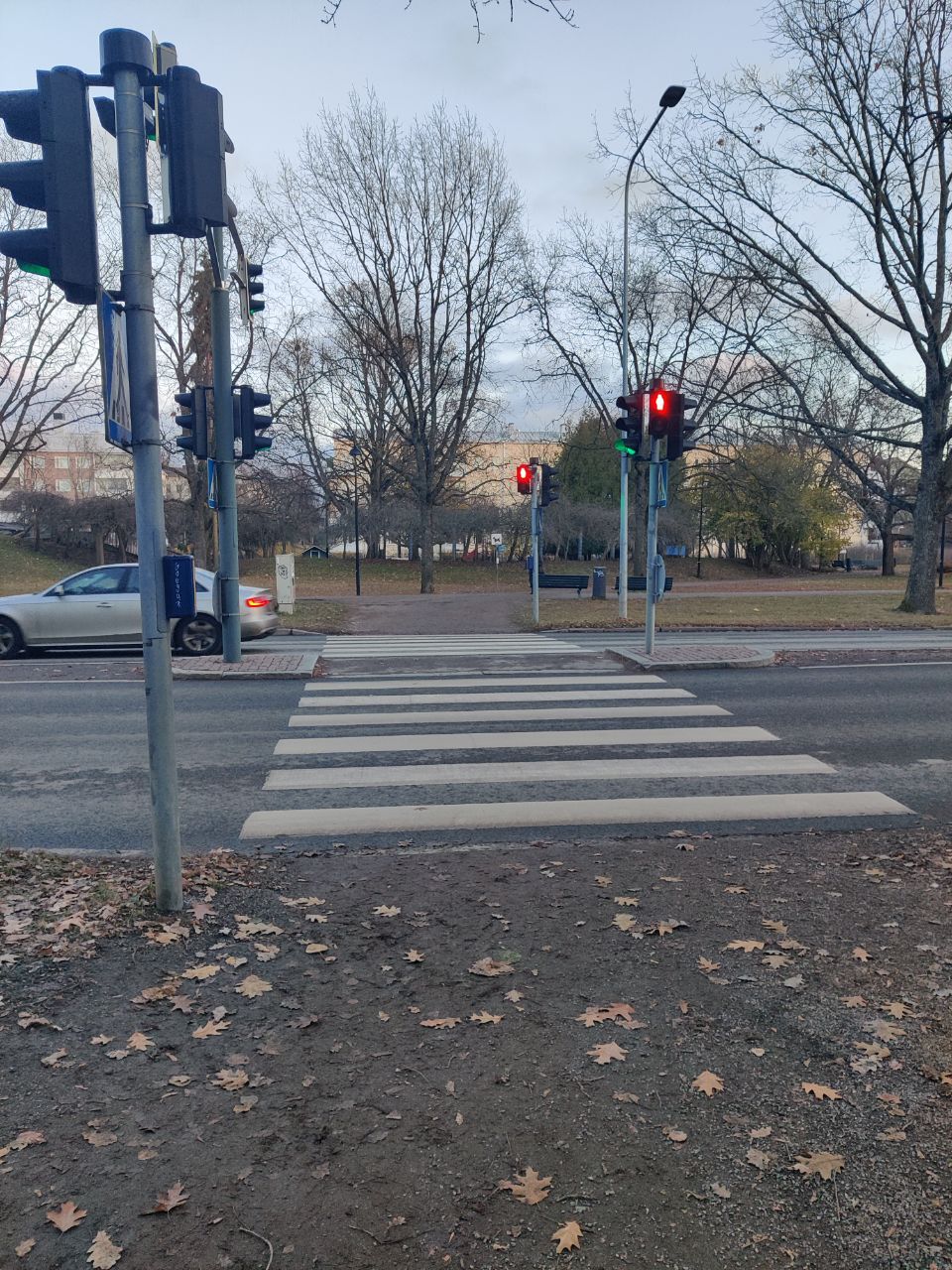 Kuva toimipisteestä: Ääniopastettu suojatie, Särkiniementie 38